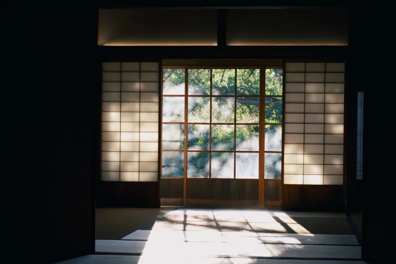 The Quiet Seduction: How Japanese Adult Studios Turned Restraint Into Their Most Powerful Weapon