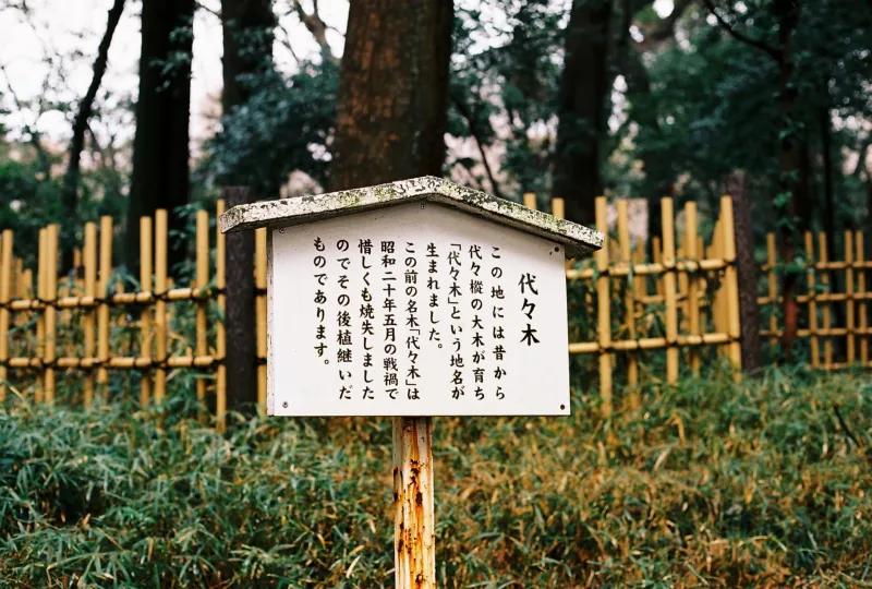 Words Matter: The Hidden Art of Translating Japanese Adult Content for American Viewers